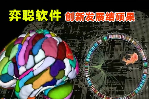 弈聰軟件 科研創新結碩果，信息安全軟件開發再添新動能
